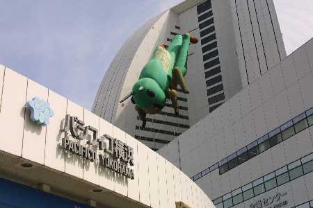 img0110572.jpg