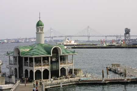 img0110573.jpg