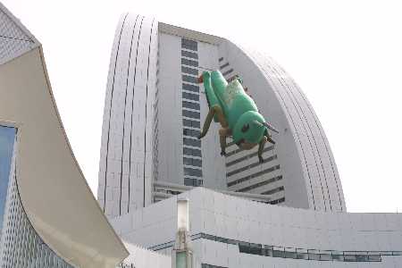 img0110575.jpg