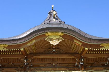 img0203370.jpg