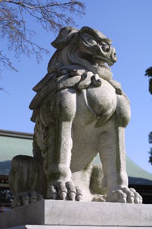 img0203394.jpg