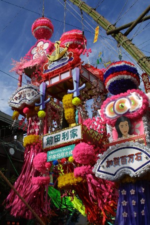 img0207935.jpg
