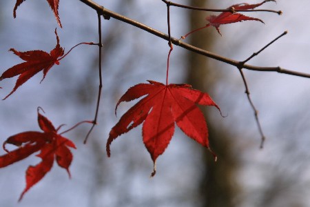 img0311735.jpg