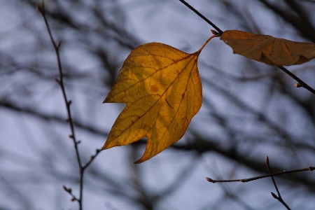 img0311738.jpg