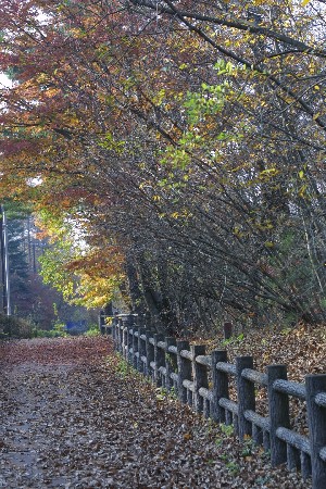 img0311740.jpg