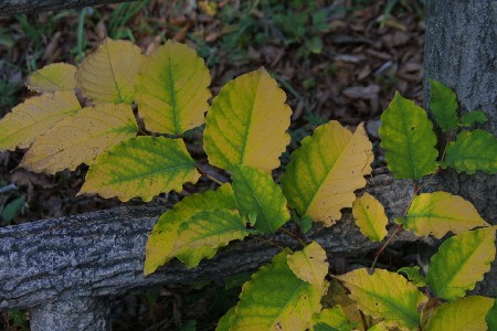 img0311751.jpg
