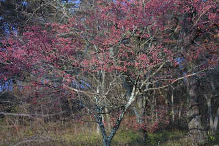 img0311759.jpg