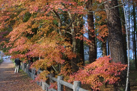 img0311773.jpg