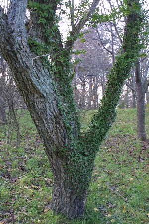 img0311819.jpg