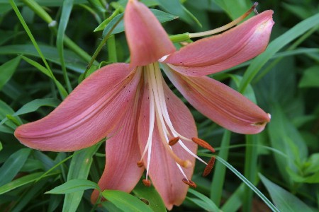 img0508398.jpg