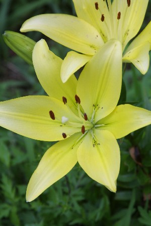 img0508406.jpg