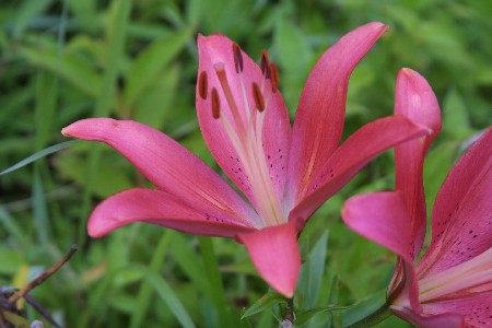 img0508419.jpg