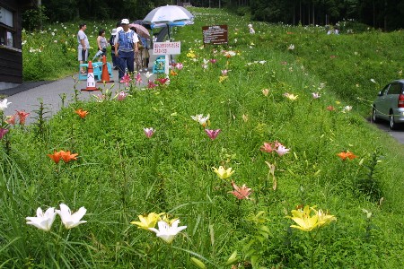 img0508471.jpg