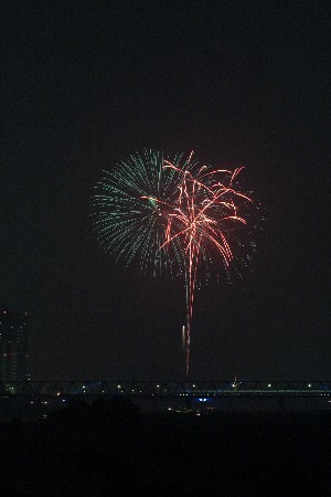 img0208064.jpg