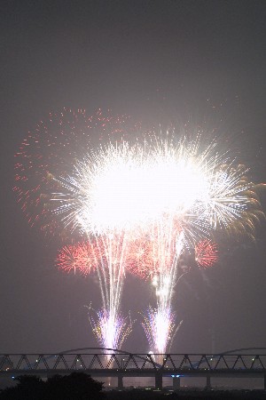 img0208089.jpg