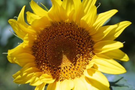 img0208191.jpg