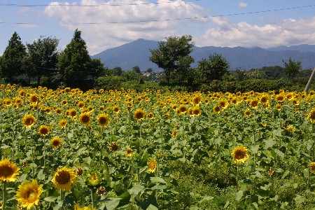 img0208194.jpg