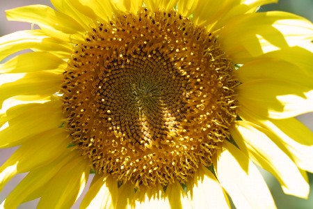 img0208211.jpg