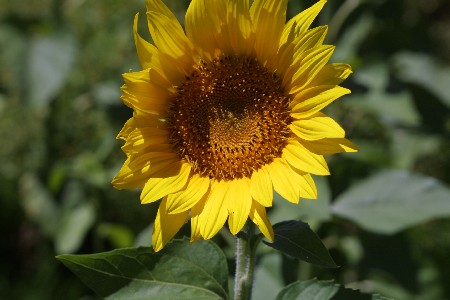 img0208212.jpg