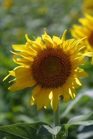 img0208222.jpg