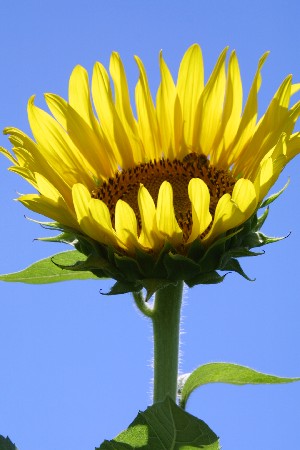 img0208234.jpg