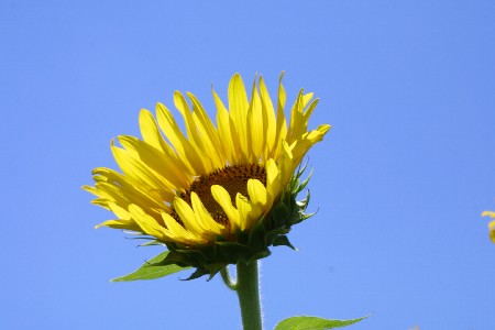 img0208237.jpg