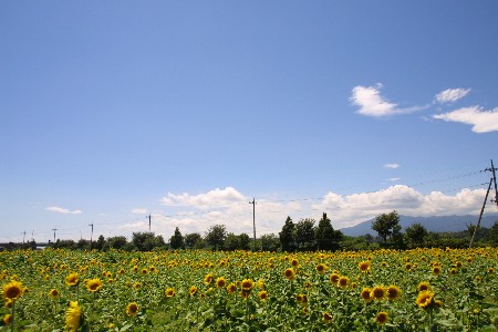 img0208281.jpg