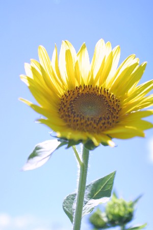 img0208289.jpg