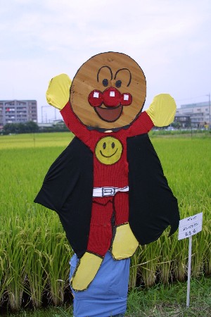 img0209314.jpg