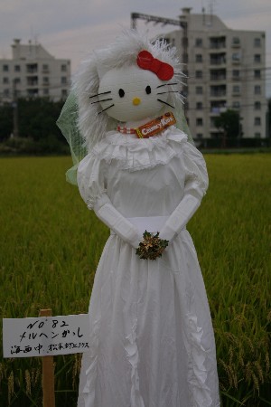 img0209331.jpg