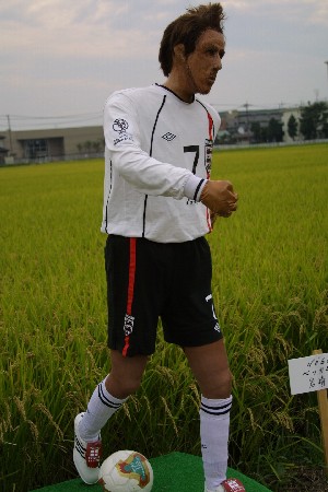 img0209341.jpg