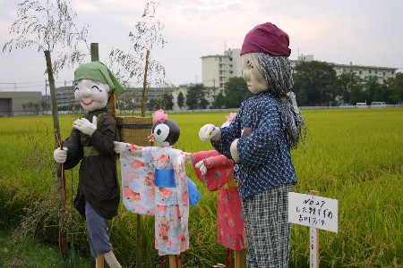 img0209351.jpg
