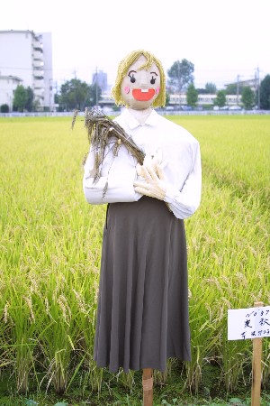 img0209357.jpg