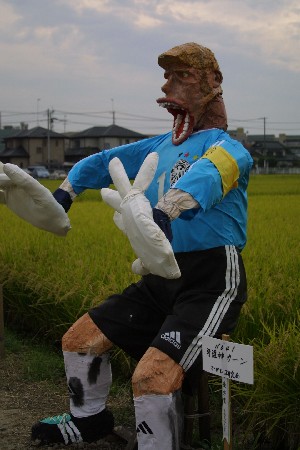 img0209358.jpg