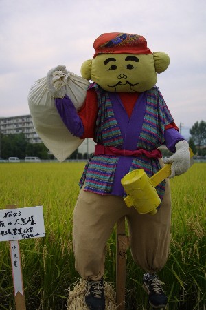 img0209361.jpg