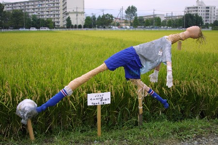 img0209364.jpg