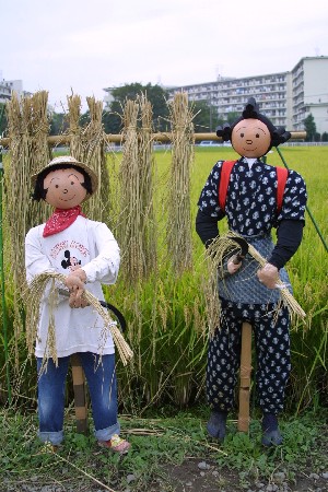 img0209366.jpg