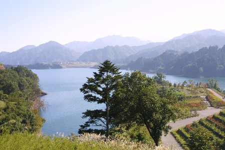 img0210405.jpg