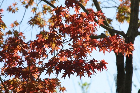 img0210419.jpg