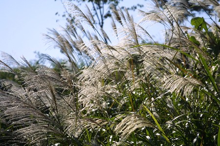 img0210425.jpg