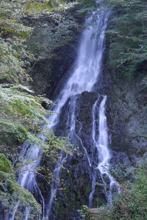 img0210434.jpg