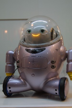 img0304838.jpg