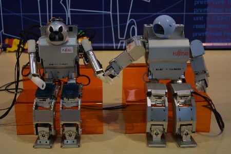 img0304843.jpg
