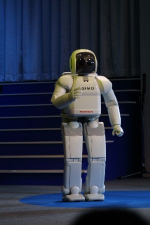 img0304847.jpg