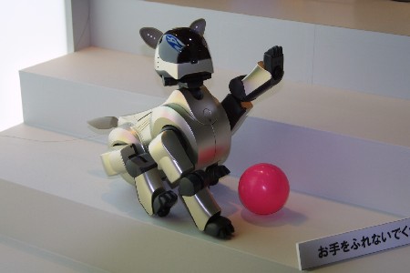 img0304872.jpg