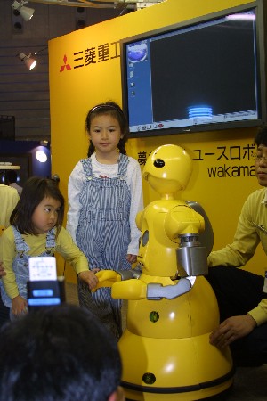 img0304877.jpg