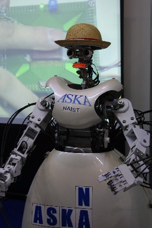 img0304889.jpg