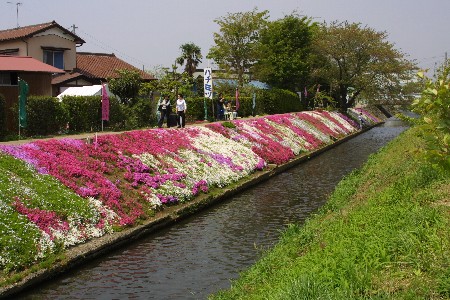 img0304000.jpg