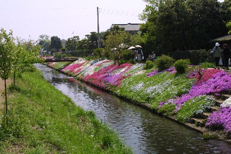 img0304001.jpg