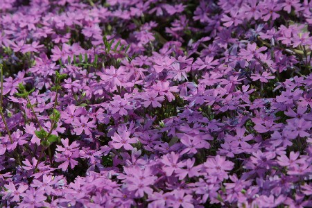 img0304004.jpg